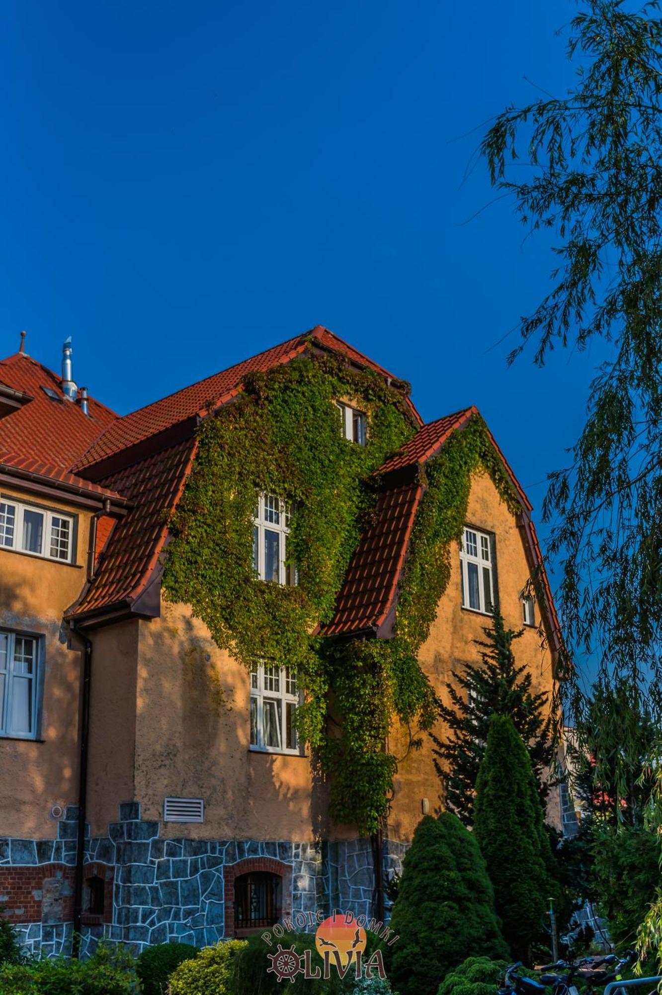 Domki Olivia Darłówko Extérieur photo